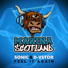 Sonic & D-Vstor - Feel It Again (Radio Edit)