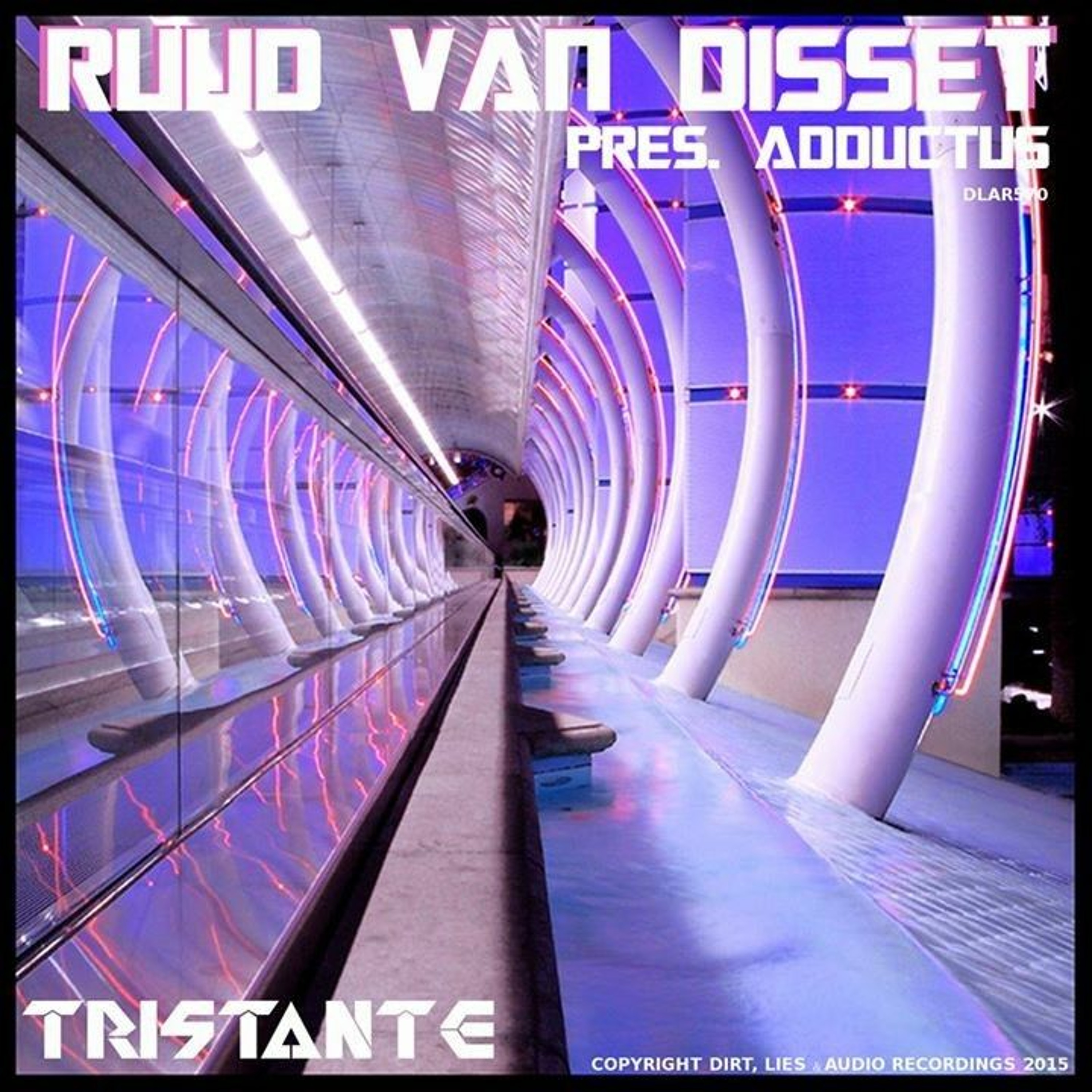 Ruud van Disset