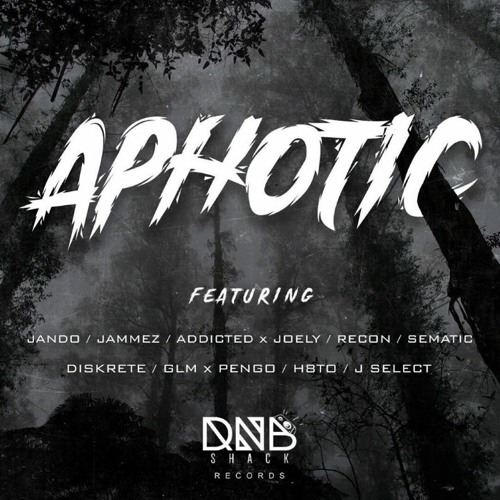 Sinners (Forthcoming on Shack Records)