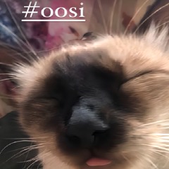 VON BON #OOSI