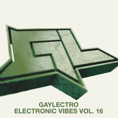 GAYLECTRO - ELECTRONIC VIBES VOL. 16