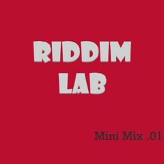Riddim Lab Mini Mix