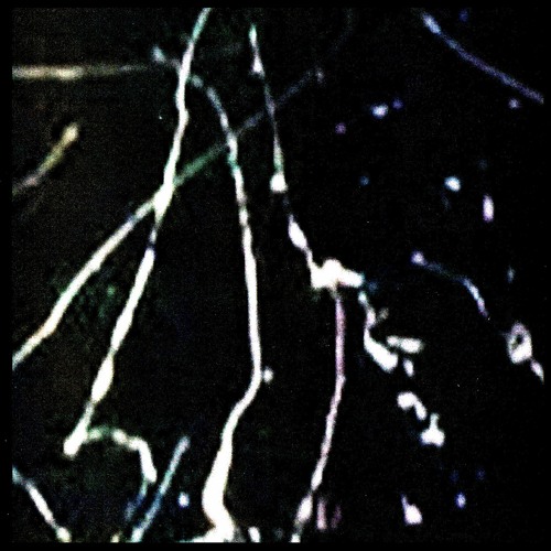 peep edit Copy6 scratch prob ddef actually   AUDIO-6_SYNTH1_LEAD.aif