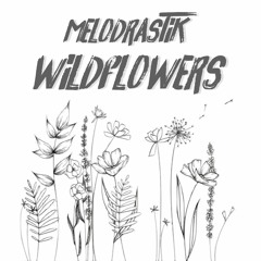 MELODRASTIK - WILDFLOWERS