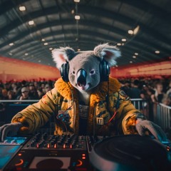 Save Koala Night.WAV