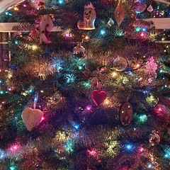 Dani Love Dec 7 2024 Downtempo On The VISION TRAIN.WAV