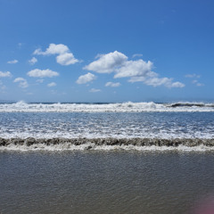 Wave to blue 30 10 2025 - "Swim alone in the open sea" (Jeff Tweedy e gli altri)