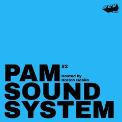 PAM Sound System @RCV99fm - Episode #2 - hosted by Crotch Goblin