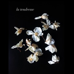 La tendresse - nous n'oublierons pas d'être fleur + suffit  (extrait live)