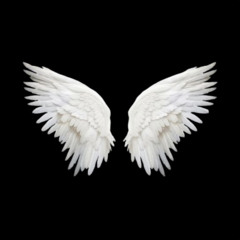 LOVEKXXG x OP CALIBER - WINGS