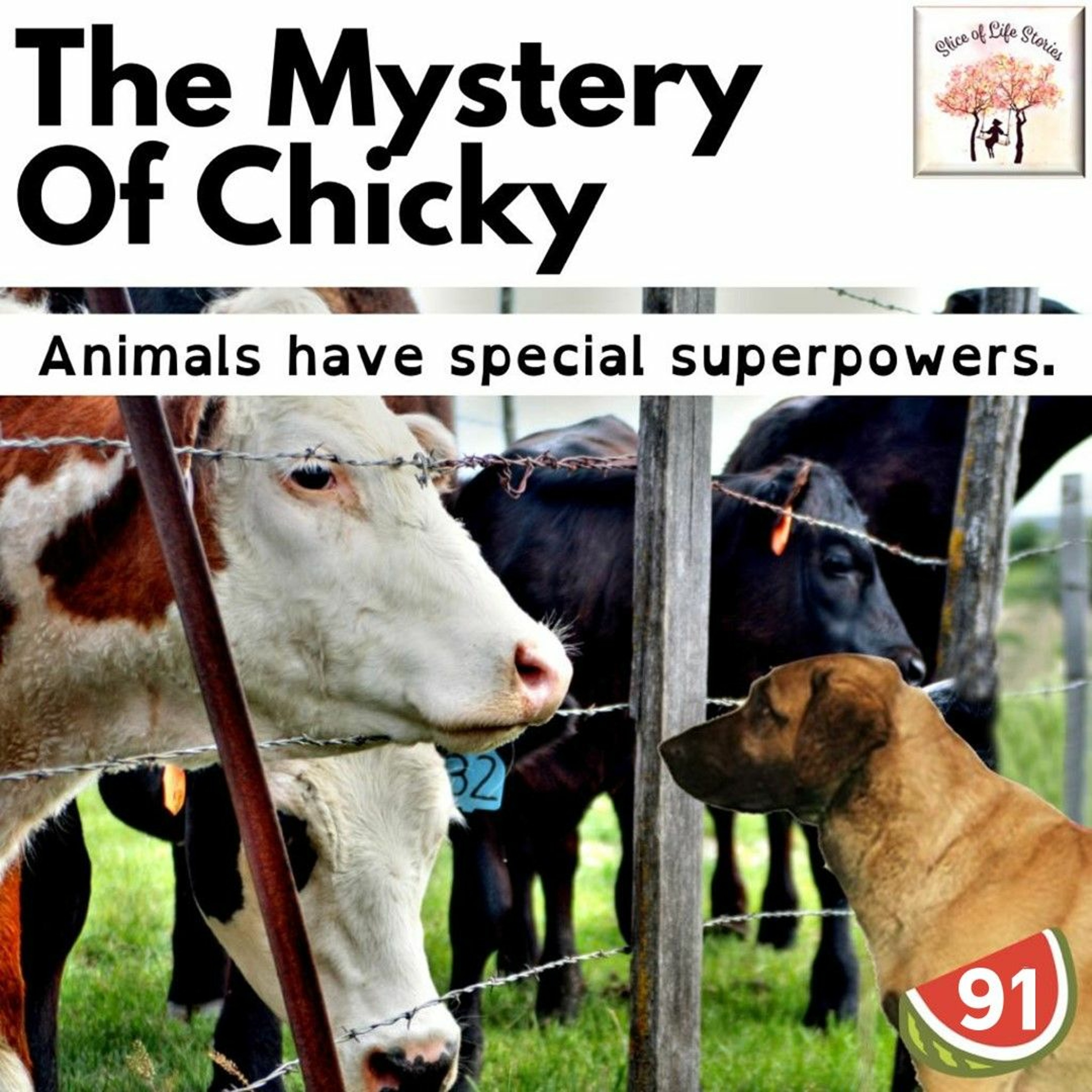 Slice of Life Stories