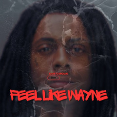 Feel Like Wayne