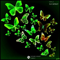 EmilZ - Fly Effect (Original Mix)