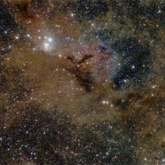 [4DM2023] Stardust Antagonism