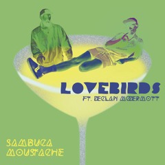 Sambuca Moustache (feat. Declan McDermott)
