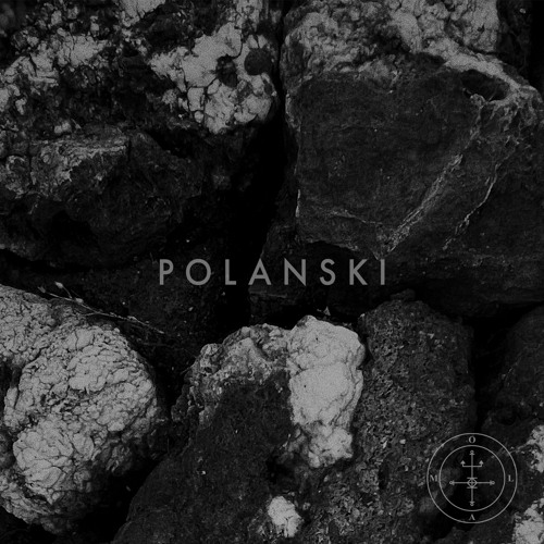 No.31 - Polanski