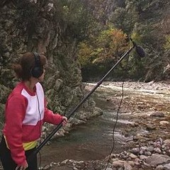 Embodied presence, sonority and movement