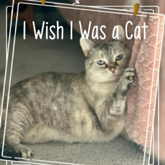 I wish I was a cat