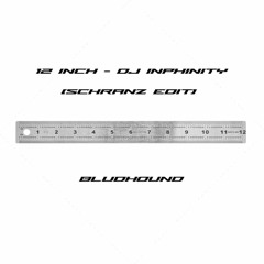 12 inch - dj inphinity [Schranz Edit]