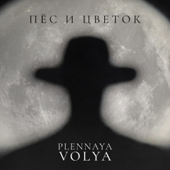 Plennaya Volya - Пес и Цветок