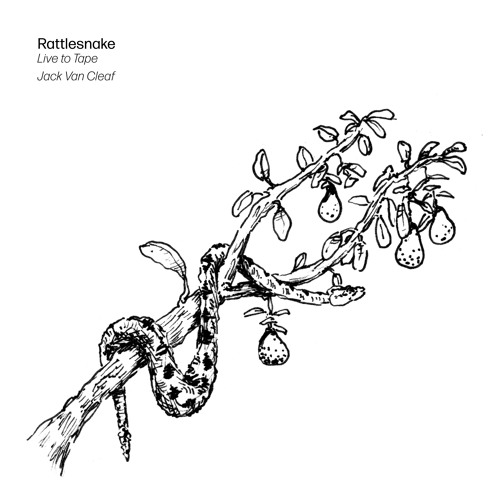 Stream Rattlesnake (Live to Tape) by Jack Van Cleaf Listen online for free on SoundCloud