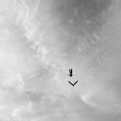 تلاوة من سورة النساء.