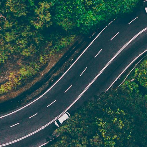 Forest Pulse (extended version)