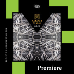 PREMIERE: Bruce Wine - Psycho Disco [SINCHI]