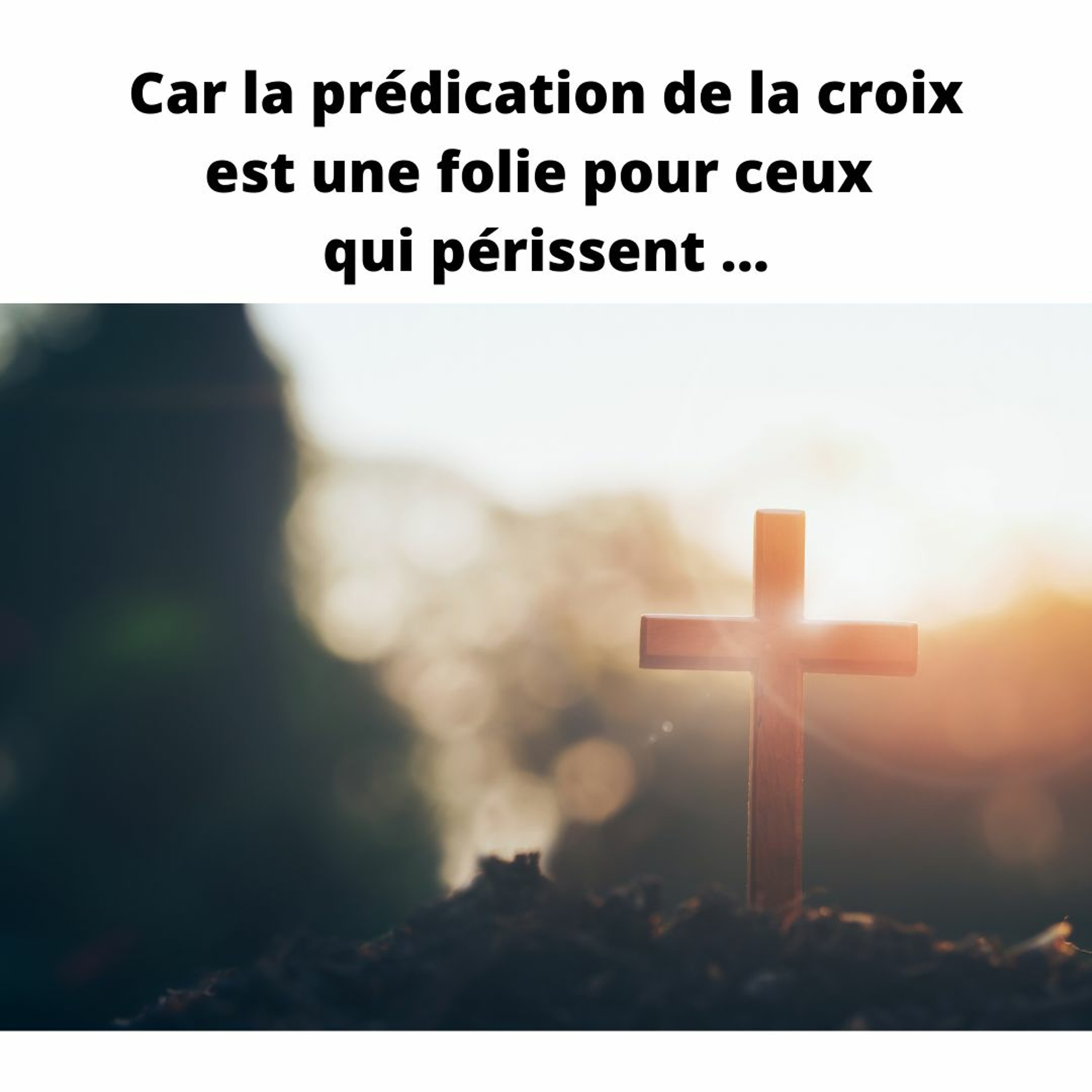 365Histoires