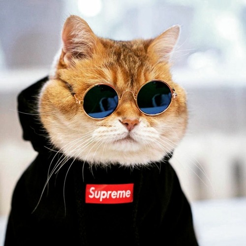 Daniro Ft Deniz- Mishe Bebakhshi.mp3