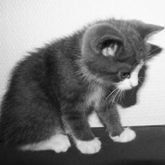 LOVER$ ROCKY (prod. ultra dreamz)