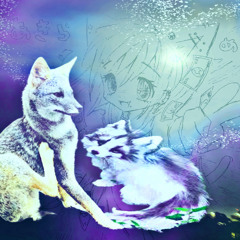 Lost in S3RA - prod flipphonecharm