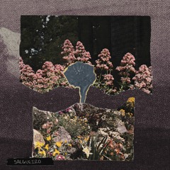 Konteks - Salgueiro