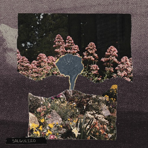 Konteks - Salgueiro
