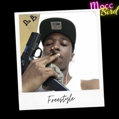 𝔐𝔬𝔠𝔠 𝔅𝔦𝔯𝔡 ➖ 𝔉𝔯𝔢𝔢𝔰𝔱𝔶𝔩𝔢💋👌🏾