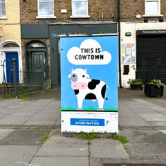 Cowtown, a Stoneybatter hi havia vaques i no hipsters