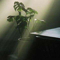 Self-Growing Phenomenon