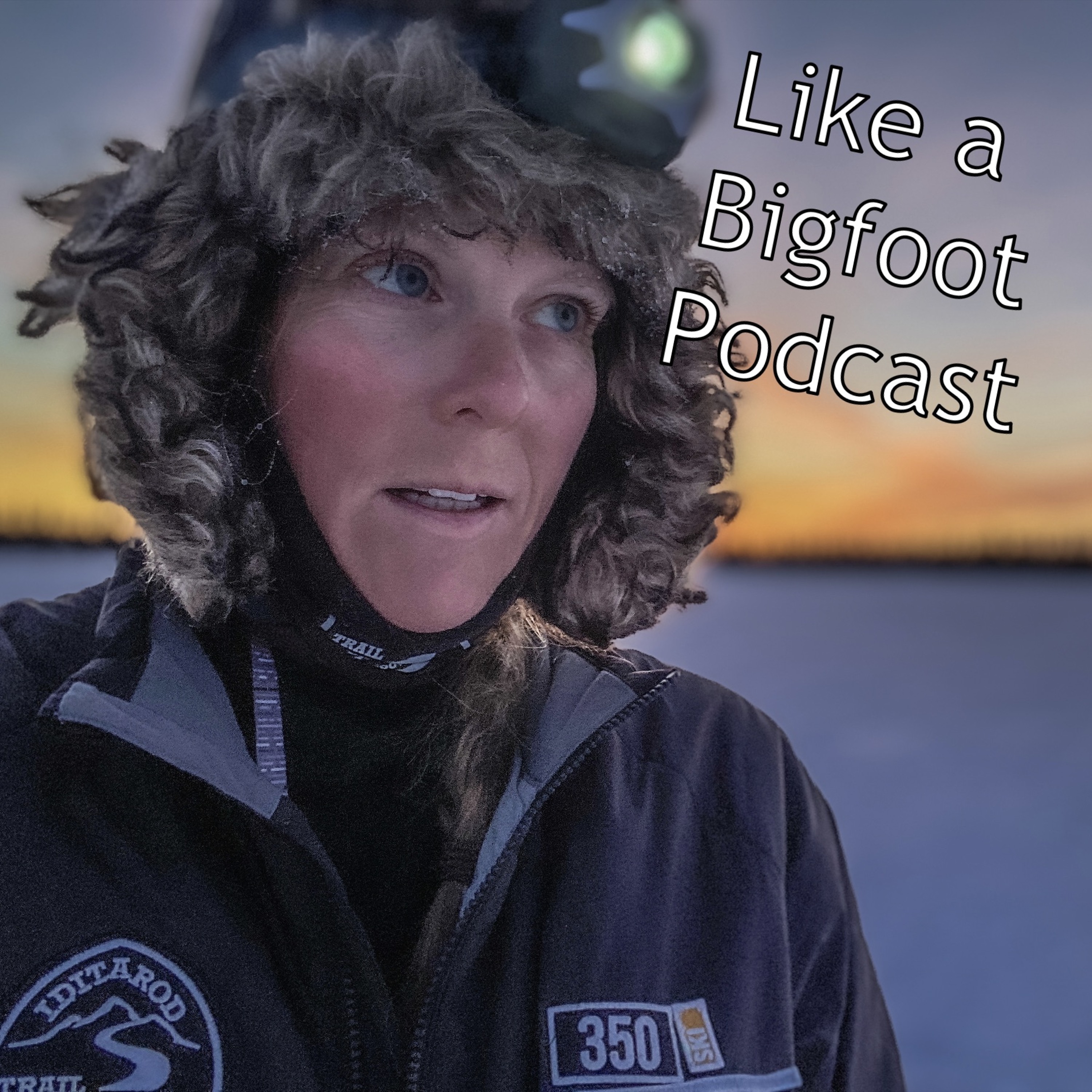 #318: Sunny Stroeer -- Epic Adventures on the Hayduke Trail and the Iditarod Invitational episode artwork
