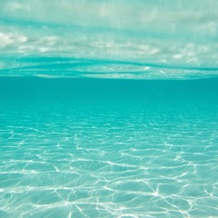 Shore #3