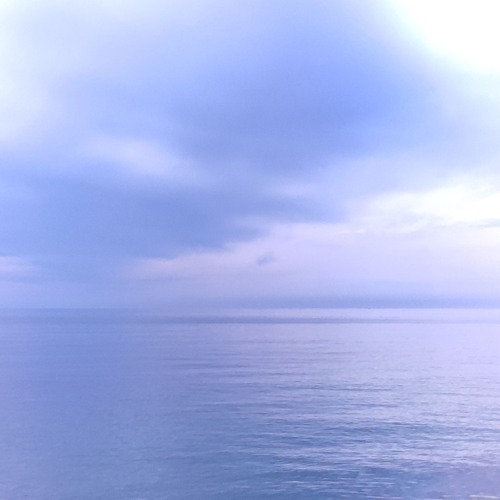 djdrfusion 14.4.2025