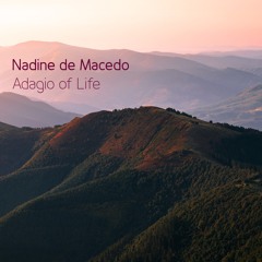 Adagio of Life (JayB Remix)
