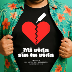 Mi vida sin tu vida