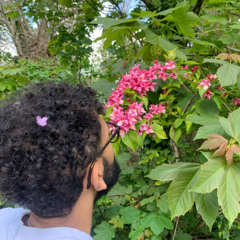 mmmarsh - 28/08/2025