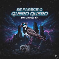 Se Parece o Quero Quero(MP3_160K).mp3