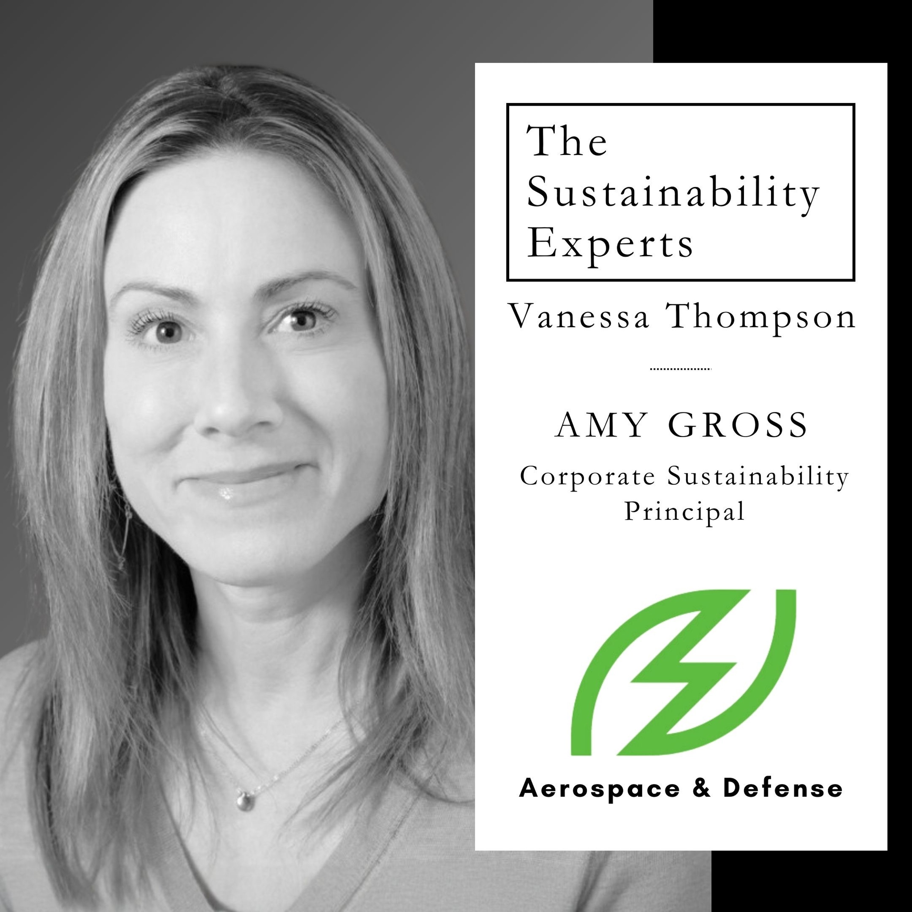 The Sustainability Experts