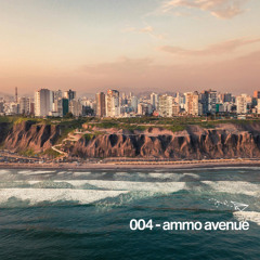 Ammo Avenue - on the range. 004
