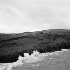 - Morning Glory - 10.19.2025