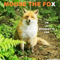 MOUSE THE FOX - I'M A ROUQUETTE FAN - 04.12.2022