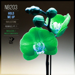 RafleSTone - Hold Me Up (Nikolay Mikryukov Remix)