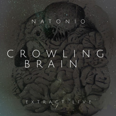 Crowling brain - Extract live